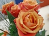 rose-5-1024x768.jpg